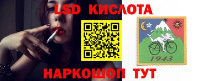 метадон Сланцы
